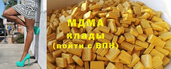 шишки Аркадак
