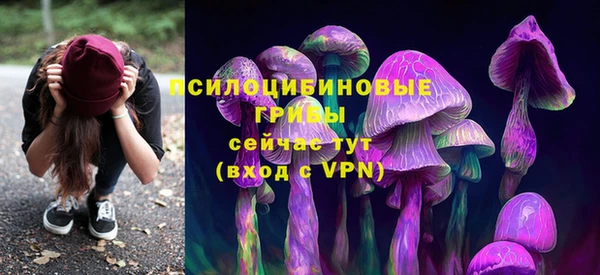 соль курить ск Арсеньев