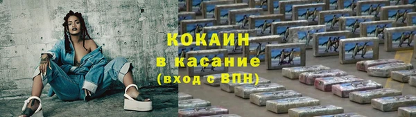шишки Аркадак
