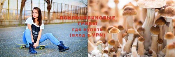 мескалин Армянск