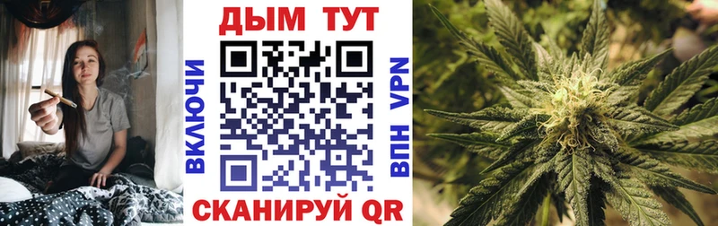 МЕГА   купить наркотик  Волгодонск  Бошки марихуана Amnesia 